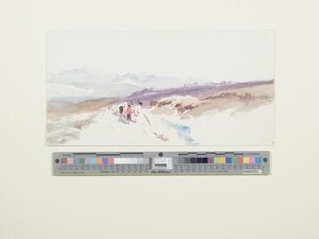Sunny Road