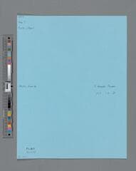 Go to image 3.
