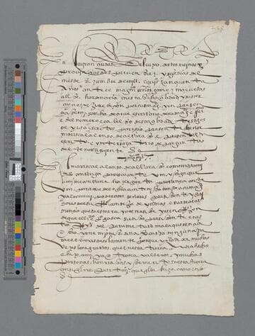 Alonso de Alvarado document to Consejo de Indias: Testimony regarding Pedro de la Gasca