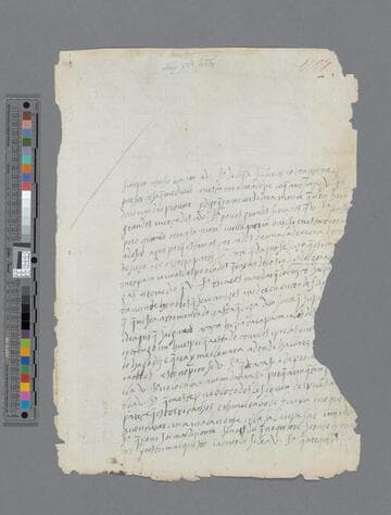 Francisco de Leon letter to Gonzalo Pizarro