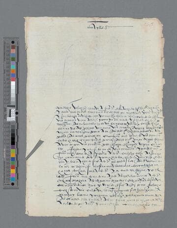 Juan Alonso Palomino letter to Gonzalo Pizarro
