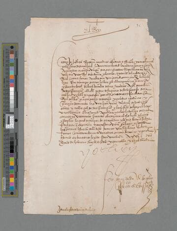 Carlos V, Emperor of Germany and King of Spain, document to the Officials of the City of San Miguel, Peru