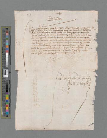 Carlos V, Emperor of Germany and King of Spain, letter to Diego Vázquez de Cepeda