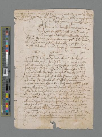 Carlos V, Emperor of Germany and King of Spain, copy of document to Unidentified Recipient: Royal Decree