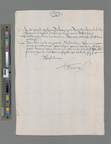 Gonzalo Pizarro letter to Diego Martin