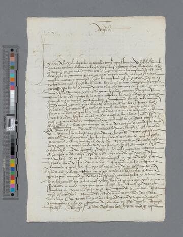 Gonzalo Pizarro letter to Pedro de Puelles