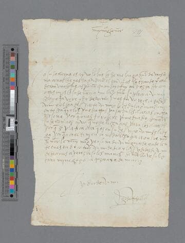 Diego de Trujillo letter to Pedro Guillén