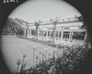 Go to image 8.