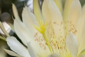 Go to image 4.