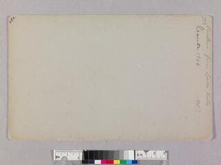 Go to image 2.