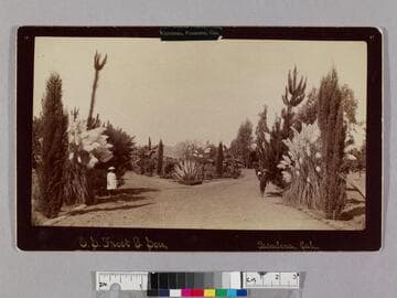 Glenrosa, Pasadena, Cal