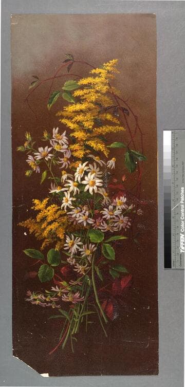 [Yellow, white, and purple flowers on brown background]