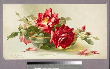 [Red roses in glass bowl]