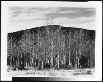 Aspen Valley, New Mexico