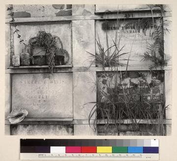 New Orleans Cemetary