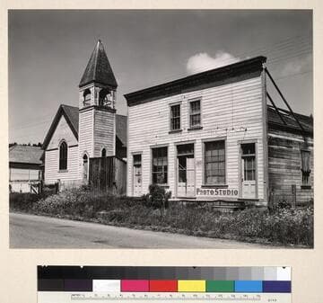 Judge Walker's Gallery, Elk