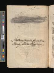 Go to image 2.