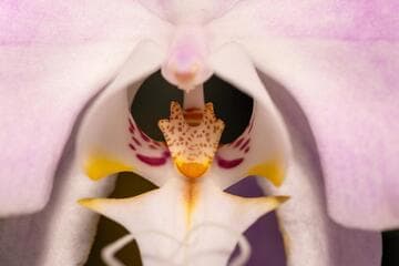 Go to image 3.