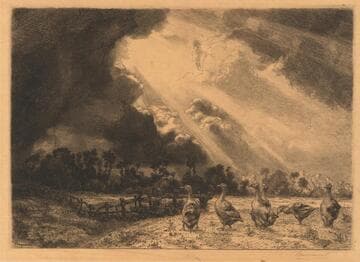 It is Raining Buckets! (Il pleut à verse!)