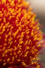 Go to image 6.