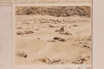 Dusty Dozen lining the lower end of Badger Creek.  The water was clear due to the very low flow