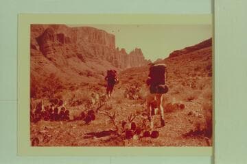 Floor of Meriwitica Canyon