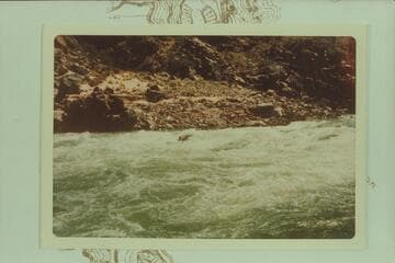 Ed Herrman in Rapid 209