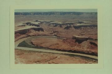 Turks Head on Green River