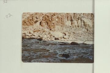 52. Looie grabs Dick