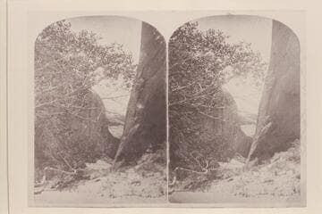 "Views on the Colorado River": Glen Canon Series, no. 153, Side Gulch. View looking into short box canyon at mile 132.35, LB