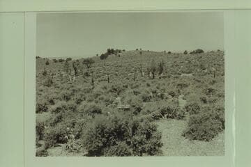 Southeast from northeast part of Fishtail Mesa at right angle.  No. 5 as shown on aerial mosaic.  Photo #151 sent from Flagstaff Station 1962, Oct. 16, Ref. 4210