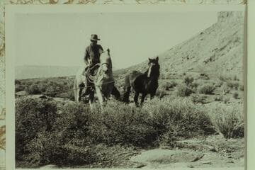 Bringing in wild horse caught by expedition to so-called Canyon of the Little Horses. Near Mt. Akaba. The talus at upper right appears at upper left in photo 500