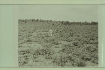 Northeast from angle point No. 4 as shown on aerial mosaic of Fishtail Mesa.  Sent from Flagstaff Station 1962, Oct. 16; Ref. 4210