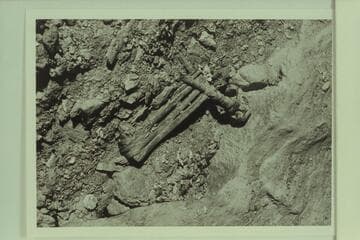 Split Twig Figurine. In Stanton Cave as it was found by George Beck in 1967