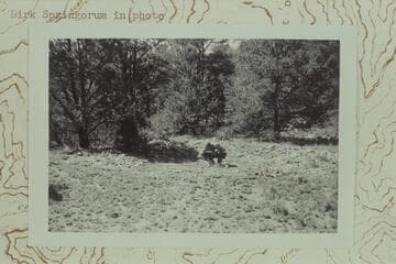 Large mescal pit near west center of Shiva Saddle.  North of rocky and brushy ledges.  Dick Springorum in photo