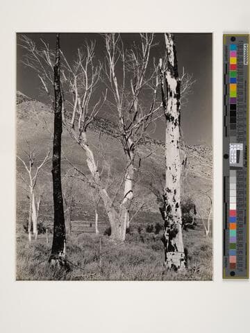 Ownes [Owens?] Valley