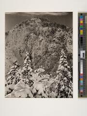 Go to image 1.