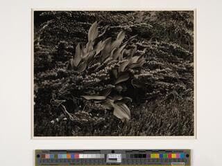 Go to image 1.