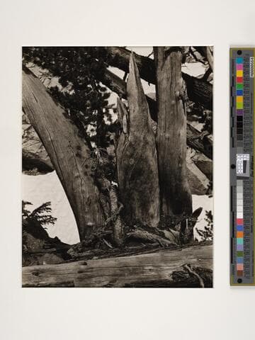 Lake Ediza, Sierra Nevada