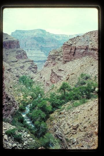 Garth; Tapeats Creek