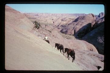 Slick Rock Trail north of Sid Whiskers Butte