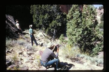 Watching stock down trail into Yellow Water Creek
