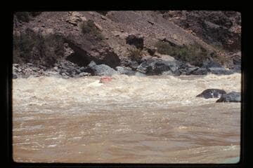 "Wee Red" climbs Vulcan Rapids