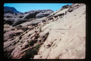 Down into Moepitz Canyon from 71.5