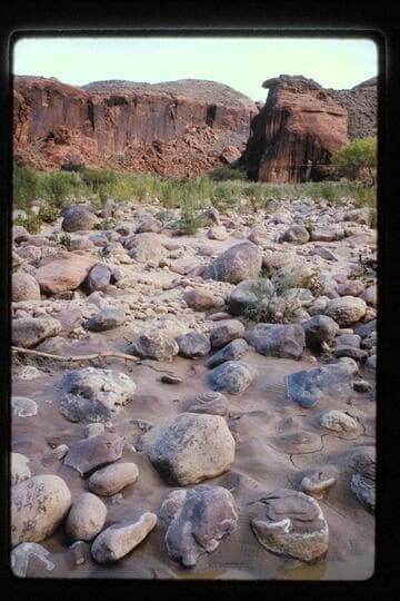 Mouth of canyon of Black Water Creek
