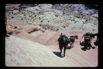 Down from ledge into basin north of Sid Whiskers Butte