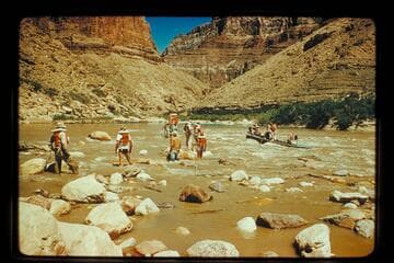 "Kitty" on rocks; Little Colorado