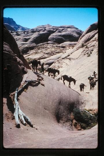 Down into Moepitz Creek