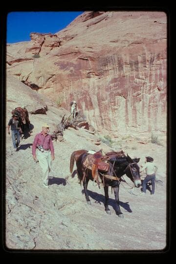 Down trail from Dead Center Camp into joint