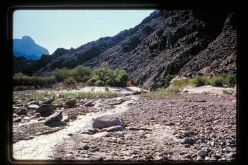 Up Diamond Creek from mouth